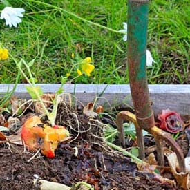 Image with missing alt attribute found on planetnatural.com