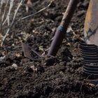 Image with missing alt attribute found on planetnatural.com