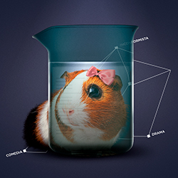 Image with missing alt attribute found on podiumpodcast.com