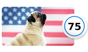 Image with missing alt attribute found on pragmaticplay.net