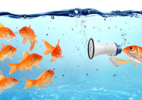 Image with missing alt attribute found on presentationmagazine.com