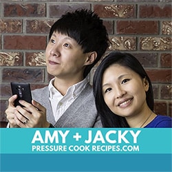 Image with missing alt attribute found on pressurecookrecipes.com
