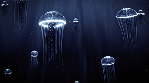 Image with missing alt attribute found on primis.tech