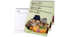 Image with missing alt attribute found on psprint.com