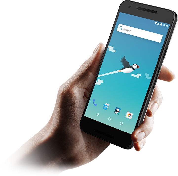 Image with missing alt attribute found on puffinbrowser.com