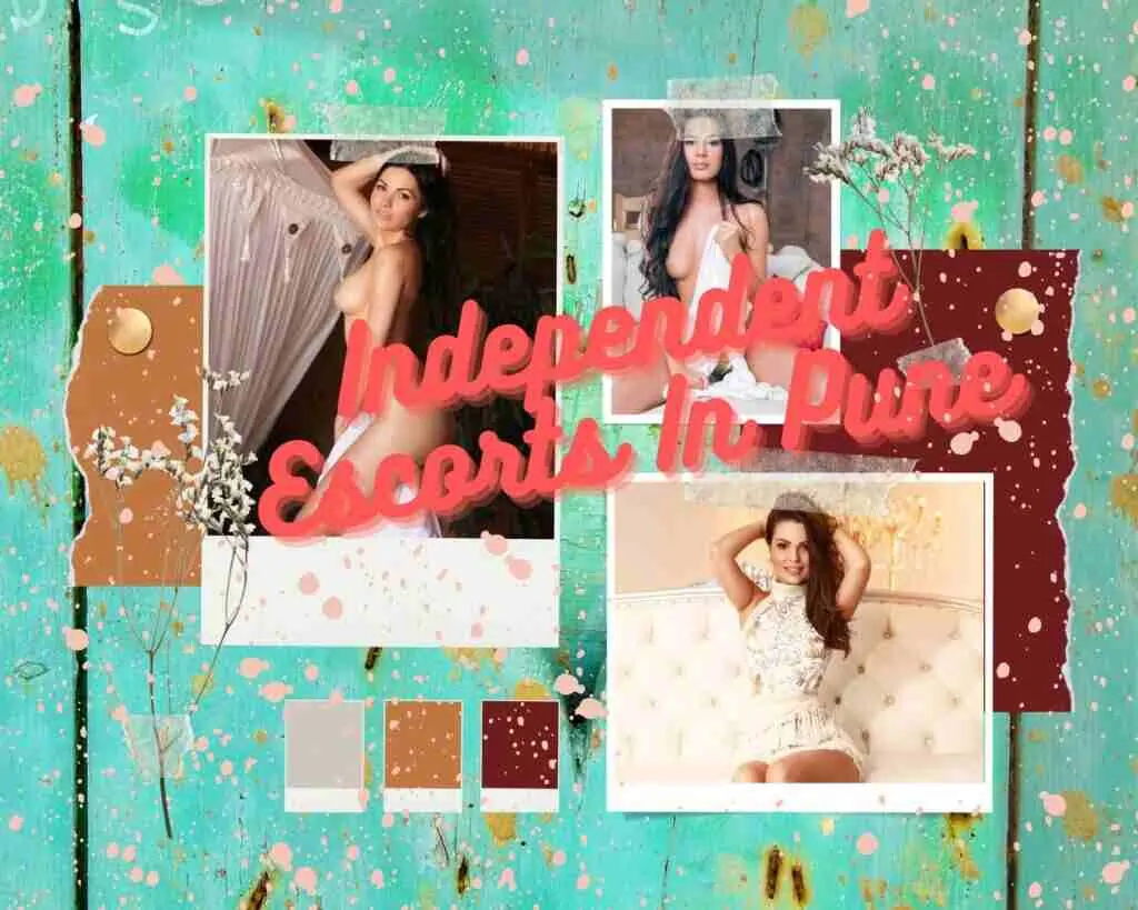 You Will Get Maximum Pleasure With Independent Escorts in Pune