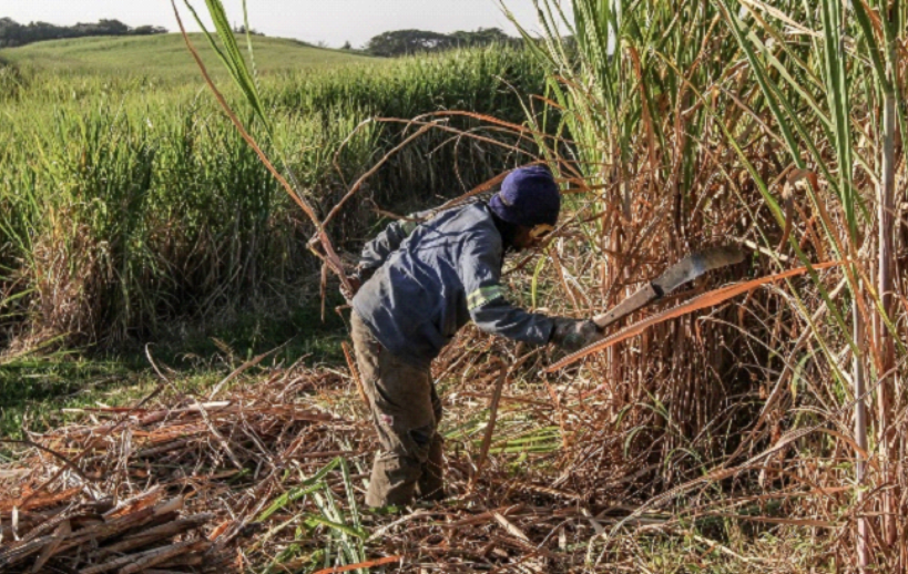 Image with missing alt attribute found on purelifeorganicfoods.com