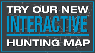 What states allow airgun hunting