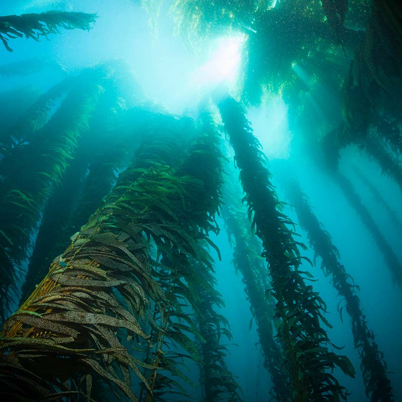 Image with missing alt attribute found on quarks.de