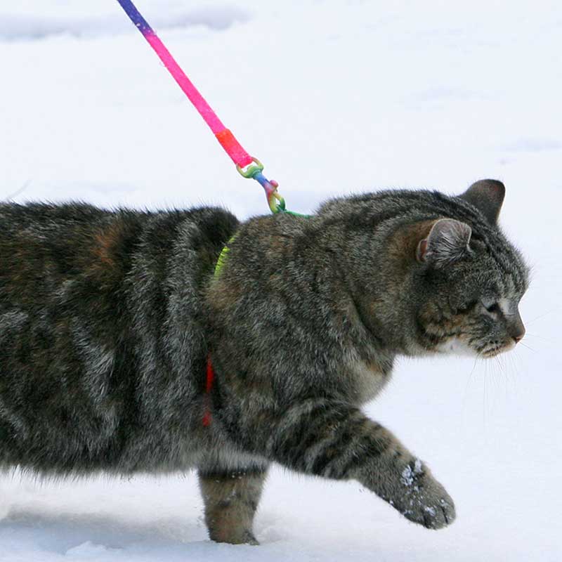 Image with missing alt attribute found on quarks.de