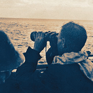 Image with missing alt attribute found on quartoknows.com