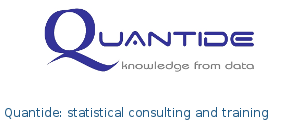 Quantide: statistical consulting and training