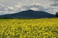 Image with missing alt attribute found on radiowroclaw.pl