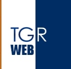 Image with missing alt attribute found on rainews.it