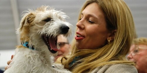 Image with missing alt attribute found on rainews.it