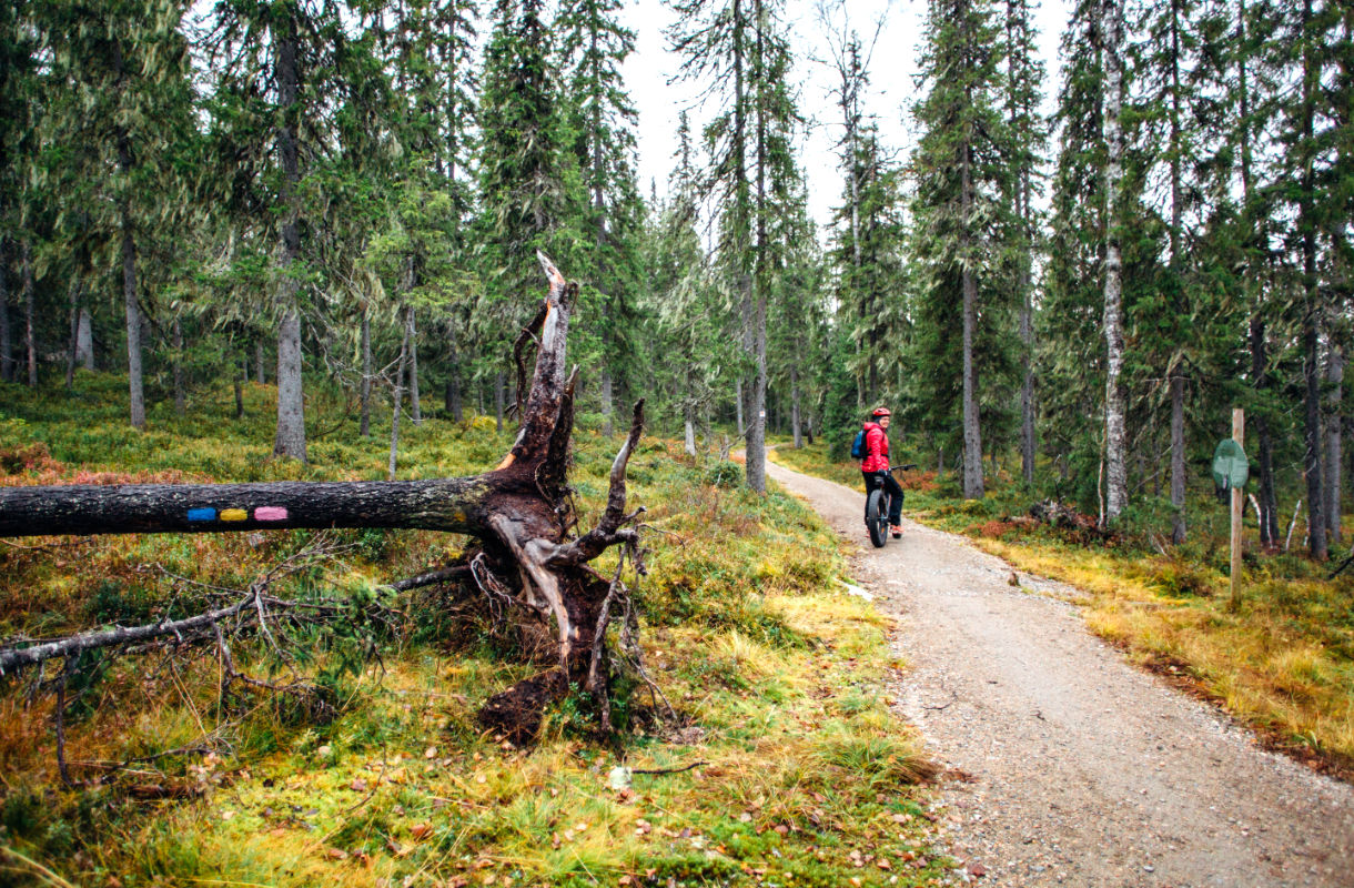 Image with missing alt attribute found on rantapallo.fi