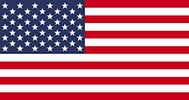 VetConnect USA Flag