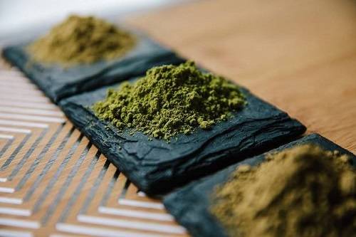kratom strains
