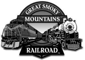 Image with missing alt attribute found on resortcams.com