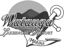 Image with missing alt attribute found on resortcams.com