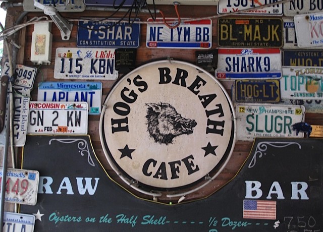 Image with missing alt attribute found on resortcams.com