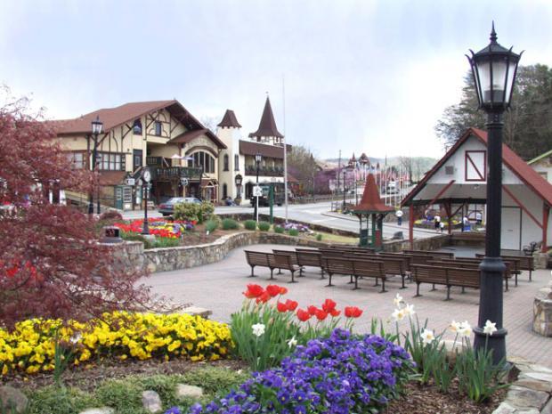 Image with missing alt attribute found on resortcams.com