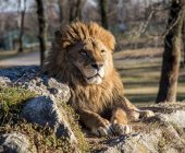 Image with missing alt attribute found on returntoorder.org