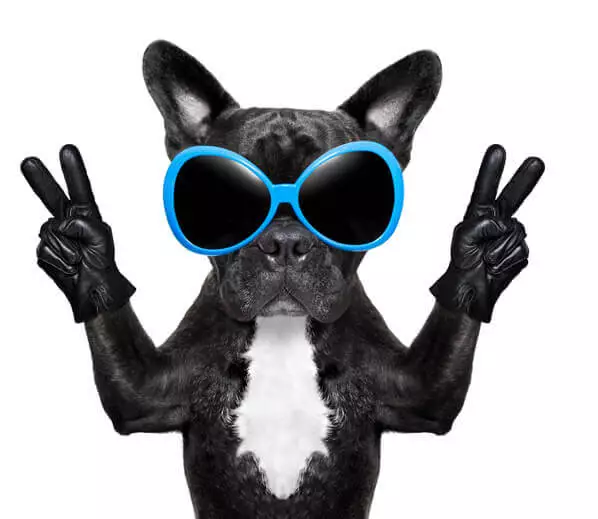 Image with missing alt attribute found on roihunt.in