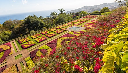 Image with missing alt attribute found on rssc.com