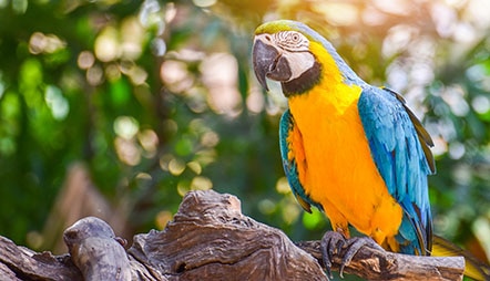 Image with missing alt attribute found on rssc.com