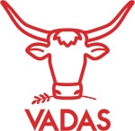 Image with missing alt attribute found on rubydigital.co.za