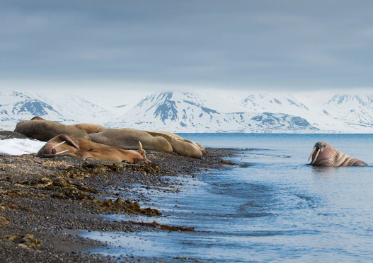 Image with missing alt attribute found on rug.nl