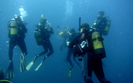 Image with missing alt attribute found on sa-venues.com