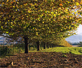 Natal Midlands Accommodation