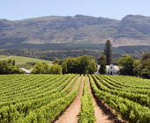 Stellenbosch Accommodation