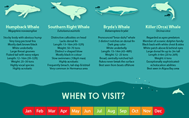 Image with missing alt attribute found on sa-venues.com