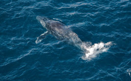 Image with missing alt attribute found on sa-venues.com