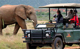 Image with missing alt attribute found on sa-venues.com