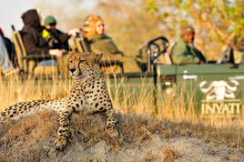 Image with missing alt attribute found on sa-venues.com