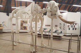 Image with missing alt attribute found on sa-venues.com