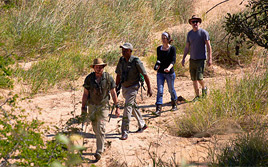 Image with missing alt attribute found on sa-venues.com