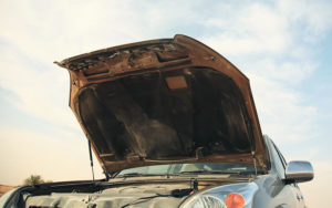 Image with missing alt attribute found on safewise.com