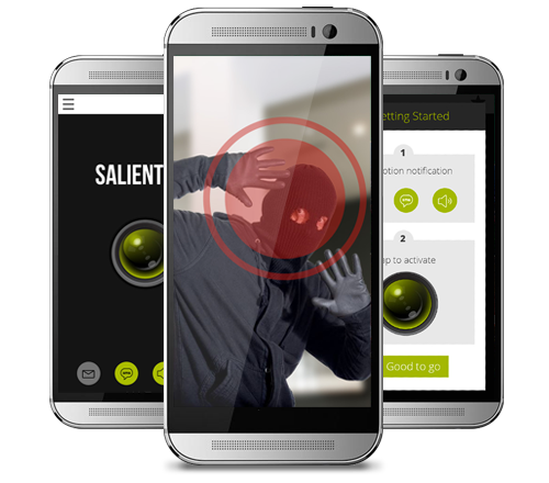 Image with missing alt attribute found on salient-eye.com