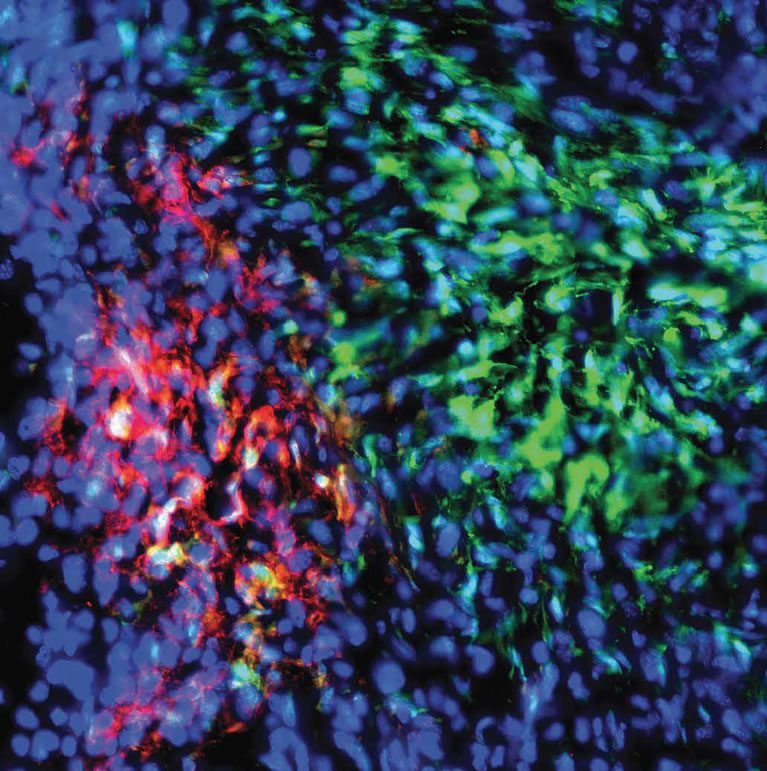 Untitled-1-767&times;771