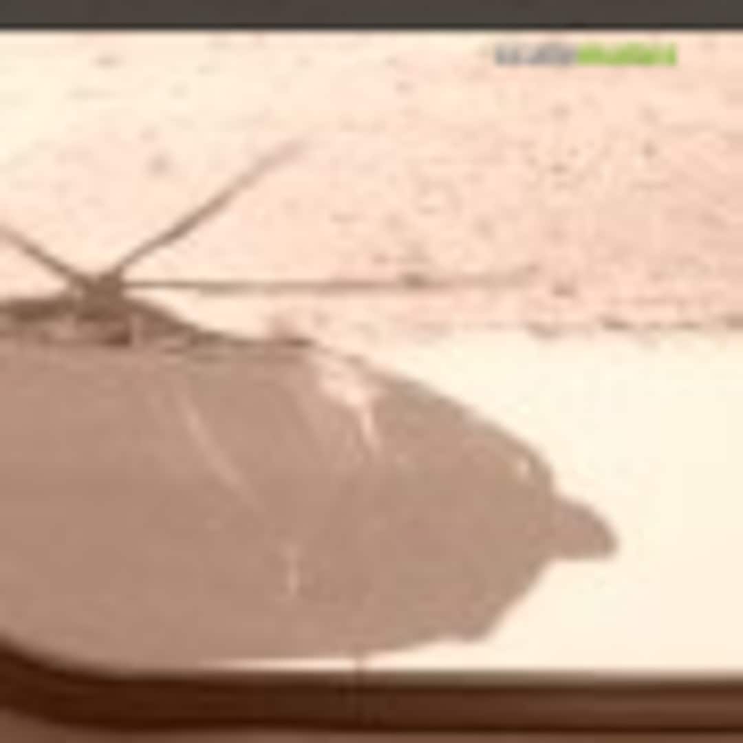 Image with missing alt attribute found on scalemates.com