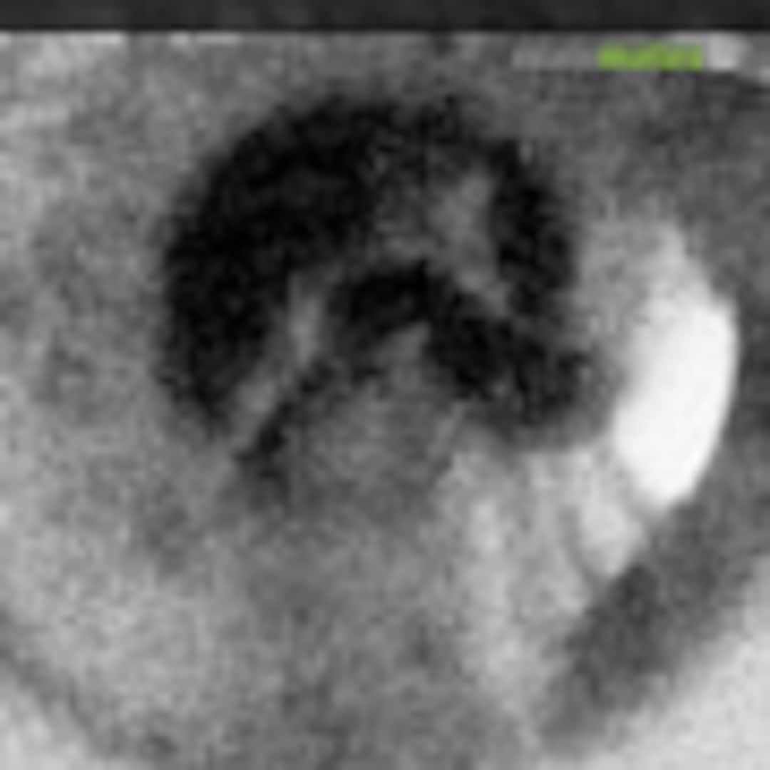 Image with missing alt attribute found on scalemates.com