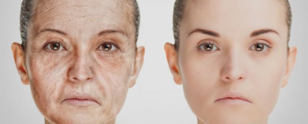 Our bodies age in three distinct shifts, according to more than 4,000 blood tests