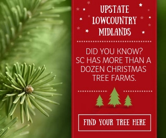Christmas Tree Farms in South Carolina