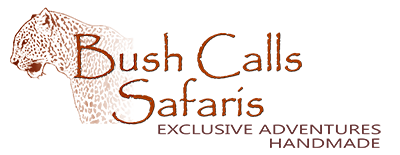 Image with missing alt attribute found on scribblemaps.com