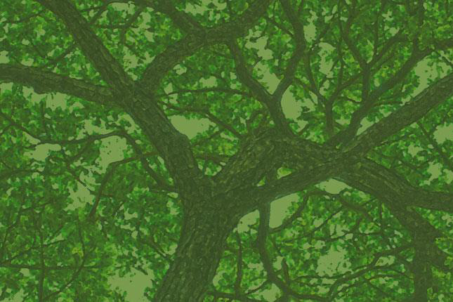 Image with missing alt attribute found on sdu.dk